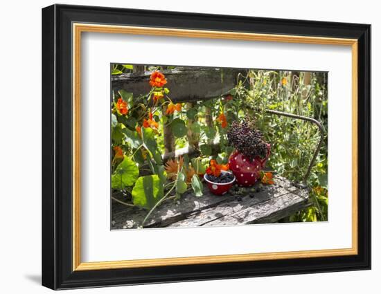 Spotted Dishes with Berries and Blossoms on Old Garden Bench-Andrea Haase-Framed Photographic Print