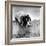 Spotted Dog Resting on the Wall with His Paws Crossed over His Head in a Thoughtful Pose-null-Framed Photographic Print
