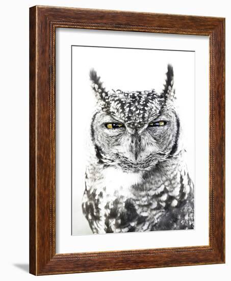 Spotted Eagle Owl, Kgalagadi Transfrontier Park, South Africa-James Hager-Framed Photographic Print