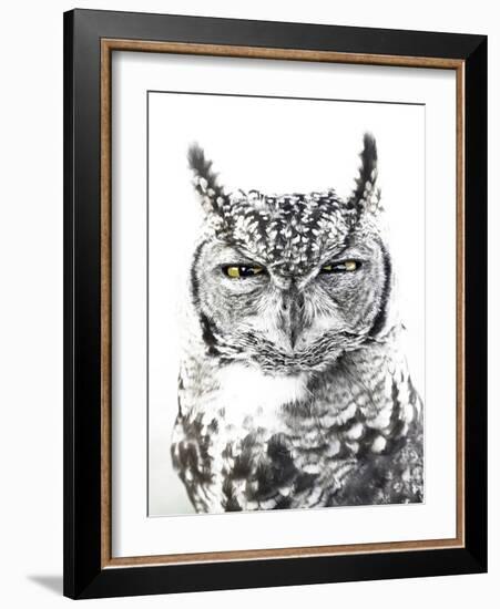 Spotted Eagle Owl, Kgalagadi Transfrontier Park, South Africa-James Hager-Framed Photographic Print