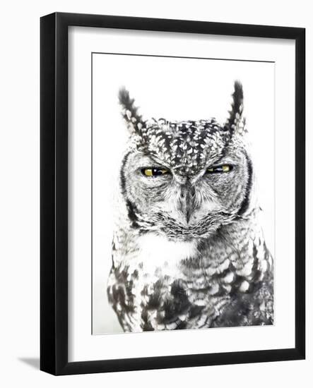 Spotted Eagle Owl, Kgalagadi Transfrontier Park, South Africa-James Hager-Framed Photographic Print