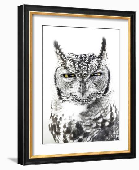 Spotted Eagle Owl, Kgalagadi Transfrontier Park, South Africa-James Hager-Framed Photographic Print