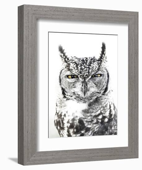 Spotted Eagle Owl, Kgalagadi Transfrontier Park, South Africa-James Hager-Framed Photographic Print