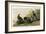 Spotted Grouse-null-Framed Giclee Print