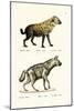 Spotted Hyaena, 1824-Karl Joseph Brodtmann-Mounted Giclee Print