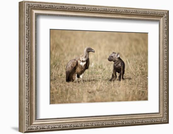 Spotted Hyena Pup and Whitebacked Vulture-Paul Souders-Framed Photographic Print