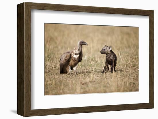 Spotted Hyena Pup and Whitebacked Vulture-Paul Souders-Framed Photographic Print