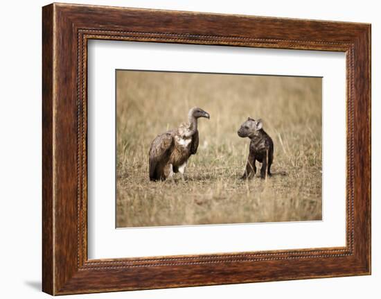 Spotted Hyena Pup and Whitebacked Vulture-Paul Souders-Framed Photographic Print