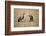 Spotted Hyena Pup and Whitebacked Vulture-Paul Souders-Framed Photographic Print