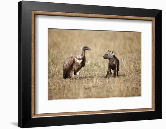 Spotted Hyena Pup and Whitebacked Vulture-Paul Souders-Framed Photographic Print