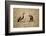 Spotted Hyena Pup and Whitebacked Vulture-Paul Souders-Framed Photographic Print