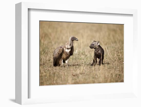 Spotted Hyena Pup and Whitebacked Vulture-Paul Souders-Framed Photographic Print