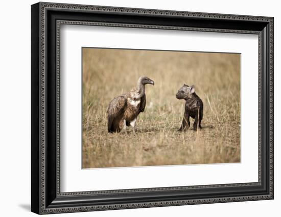 Spotted Hyena Pup and Whitebacked Vulture-Paul Souders-Framed Photographic Print