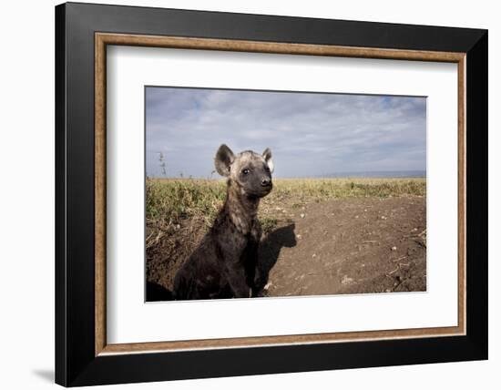 Spotted Hyena Pup-null-Framed Photographic Print