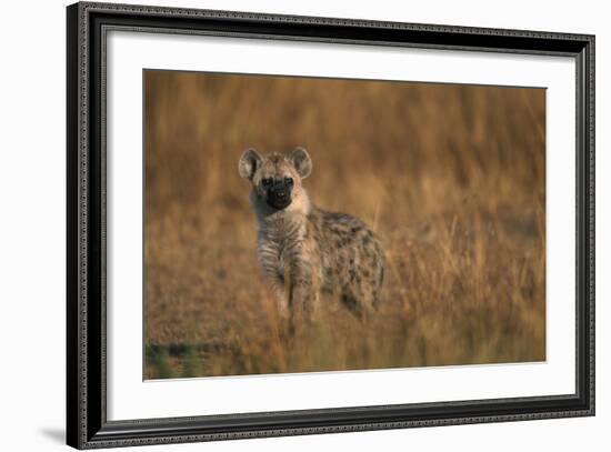 Spotted Hyena Pup-null-Framed Photographic Print