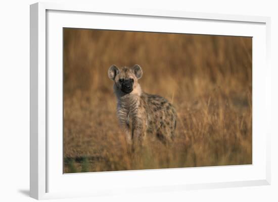 Spotted Hyena Pup-null-Framed Photographic Print