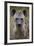 Spotted Hyena (Spotted Hyaena) (Crocuta Crocuta), Kruger National Park, South Africa, Africa-James Hager-Framed Photographic Print