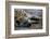 Spotted Hyena-Paul Souders-Framed Photographic Print