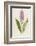 Spotted Orchis-F. Edward Hulme-Framed Photographic Print