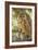 Spotted Owl Inhabits Thickly Wooded Canyons-null-Framed Photographic Print