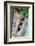 Spotted owlets (Athene brama) in tree hole, India-Panoramic Images-Framed Photographic Print