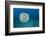 Spotted porcupinefish, inflated with seawater, Hawaii-David Fleetham-Framed Photographic Print