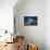 Spotted porcupinefish swimming over a reef, Hawaii-David Fleetham-Framed Premier Image Canvas displayed on a wall