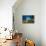 Spotted porcupinefish swimming over a reef, Hawaii-David Fleetham-Framed Premier Image Canvas displayed on a wall