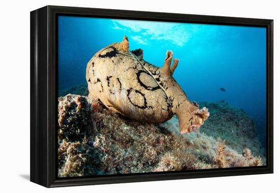 Spotted sea hare, Costa Amalfitana, Italy, Tyrrhenian Sea-Franco Banfi-Framed Premier Image Canvas