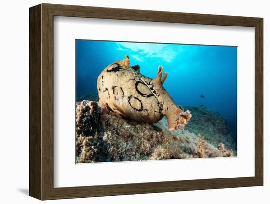 Spotted sea hare, Costa Amalfitana, Italy, Tyrrhenian Sea-Franco Banfi-Framed Photographic Print