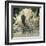 Spotted Seahorse Dark and Light Colour Phases, on Coral Reef, from Indo-Pacific-Jane Burton-Framed Photographic Print