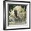 Spotted Seahorse Dark and Light Colour Phases, on Coral Reef, from Indo-Pacific-Jane Burton-Framed Photographic Print