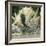 Spotted Seahorse Dark and Light Colour Phases, on Coral Reef, from Indo-Pacific-Jane Burton-Framed Photographic Print