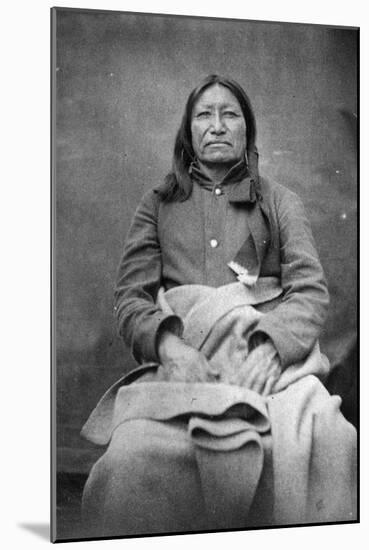 Spotted Tail, Sioux Chief, C.1870-William Richard Cross-Mounted Photographic Print