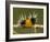 Spotted Tussock Moth Caterpillar, Lophocampa Maculata, British Columbia, Canada-Paul Colangelo-Framed Photographic Print