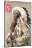 Spotted Weasel, Ecureuil Tachete, Plains Chief-null-Mounted Art Print