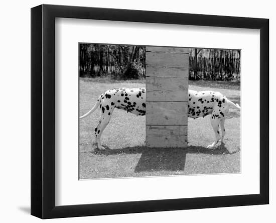 Spotty Love-null-Framed Art Print