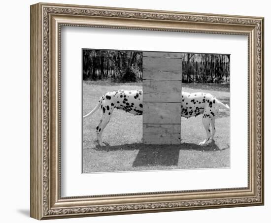 Spotty Love-null-Framed Art Print