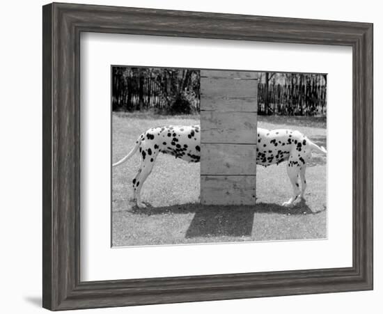 Spotty Love-null-Framed Art Print