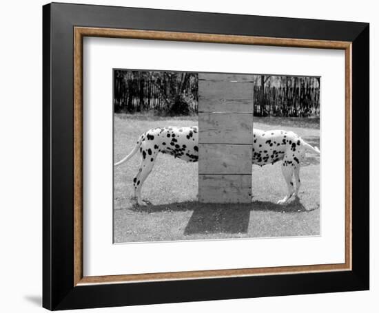 Spotty Love-null-Framed Art Print