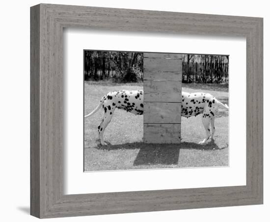 Spotty Love-null-Framed Art Print