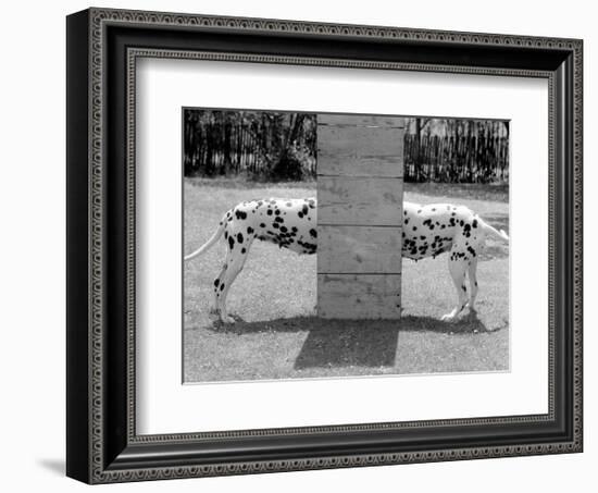 Spotty Love-null-Framed Art Print