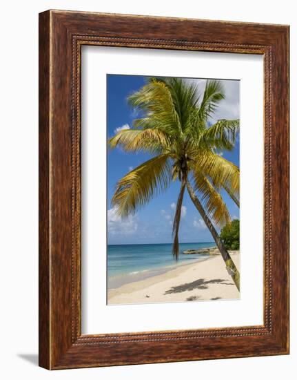 Sprat Hall Beach, St. Croix, US Virgin Islands.-Michael DeFreitas-Framed Photographic Print