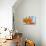 Sprawling Orange-Heidi Westum-Photographic Print displayed on a wall