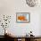 Sprawling Orange-Heidi Westum-Framed Photographic Print displayed on a wall