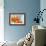 Sprawling Orange-Heidi Westum-Framed Photographic Print displayed on a wall