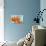 Sprawling Orange-Heidi Westum-Framed Premier Image Canvas displayed on a wall