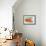 Sprawling Orange-Heidi Westum-Framed Photographic Print displayed on a wall