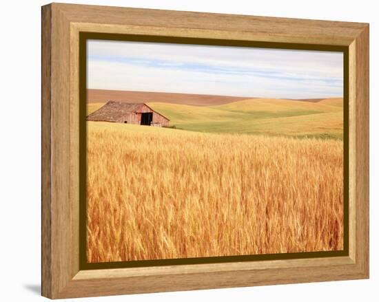 Sprawling Wheat Field-Terry Eggers-Framed Premier Image Canvas