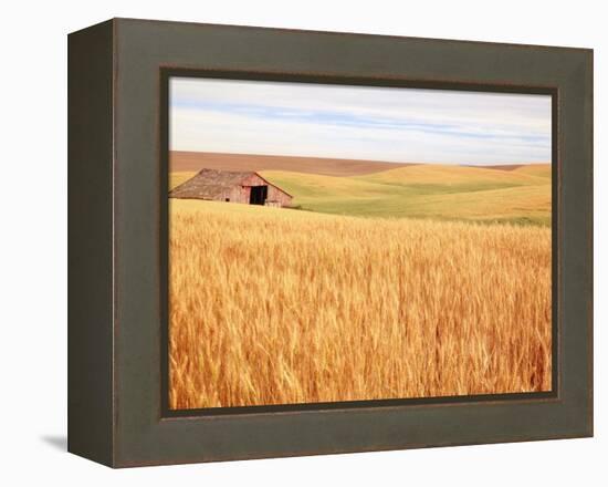 Sprawling Wheat Field-Terry Eggers-Framed Premier Image Canvas